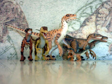 Raptornublarensis