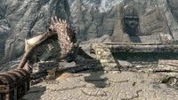 AutumnwatchTowerDragon