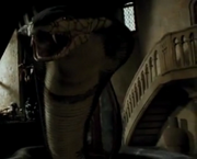 Snake