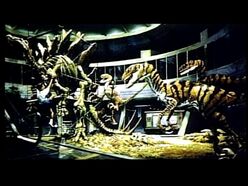 RaptorPDVD 019
