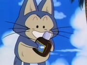 OilPuar