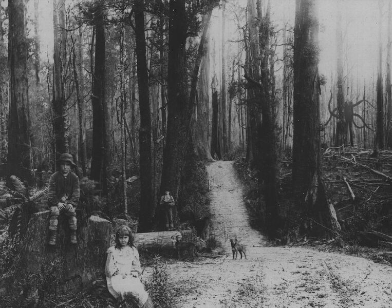 763px-The_slender_man_by_lolhoracio12d49yepy.jpg