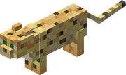 Ocelot