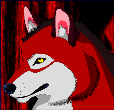 Albedo lobo