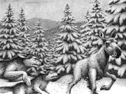 Frost Wolf 1