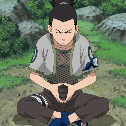 Shikamaru Nara Animerevolution Wiki