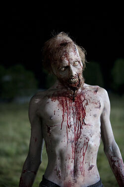 Episode-11-walker