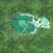Faron Woods Aerial View (Skyward Sword)