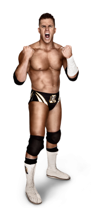 http://img2.wikia.nocookie.net/__cb20120312175944/prowrestling/images/c/c5/Alex_Riley_Full.png