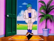 Bulmasaiyansaga