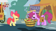 Apple Bloom Berrypunch S01E12
