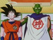 Goku&KamiOtherworld