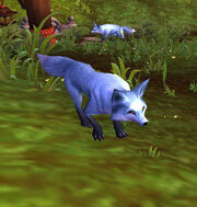 CorsacFox