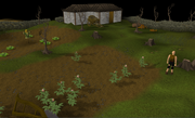 Fisher King realm farm