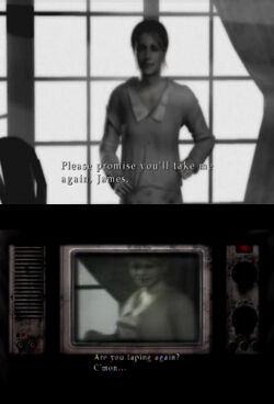 Maryvideo