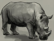 Rhino-drawing