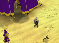 Luring snake