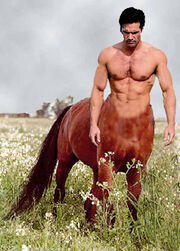 180px-Centaur_male.jpg