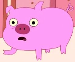 Pig