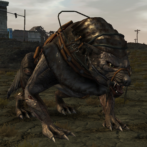 cooking companions walkthrough