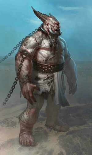 11403polyphemus