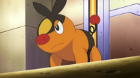 EP739 Tepig de Ash