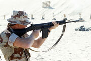 L1A1 DM-ST-91-12005