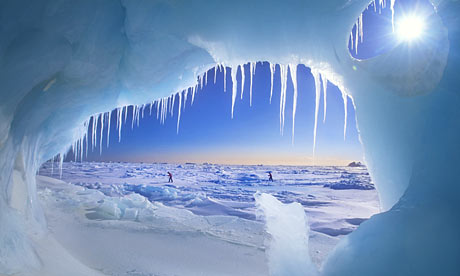 Arctic.jpg