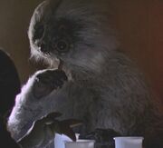 Muftak