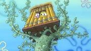 Club sponge