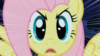 Fluttershy starrt S1E17