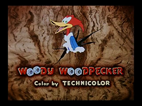 woody woodpecker 1948
