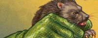 Gants en cuir de dragon