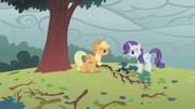 830px-Applejack and Rarity fighting over tree branch S1E8