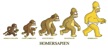 Evoluzione dell'Homer Sapiens