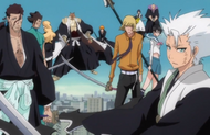 Vizard and Gotei13 protects Ichigo