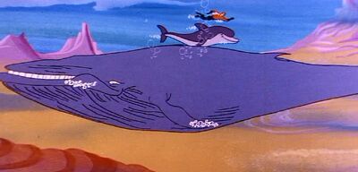 Gray whale
