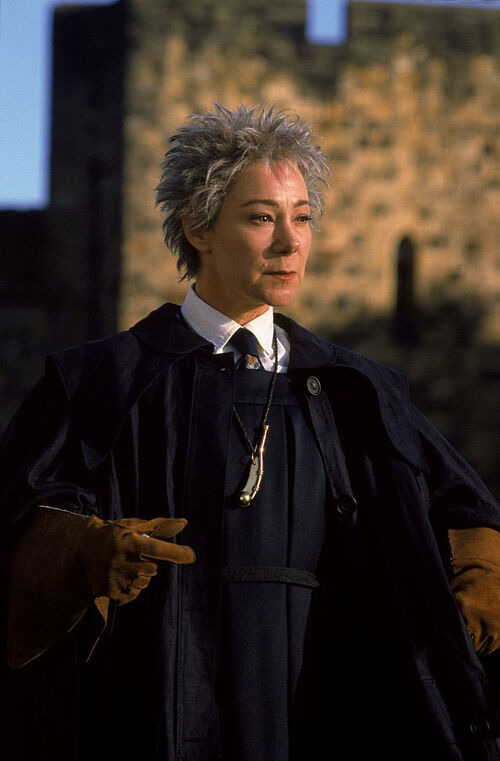 Rolanda Hooch Harry Potter Wiki