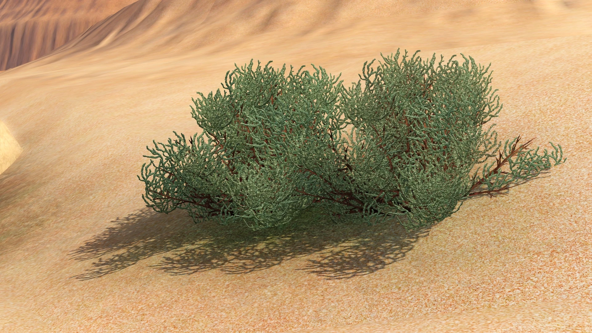 Images of Lucky Palms Create A World Wiki