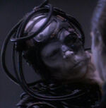 Killed Borg on Ohniaka III