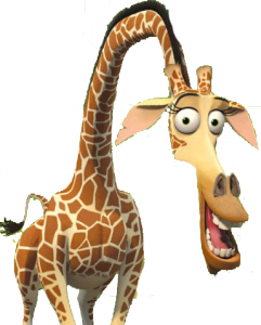 melman teddy