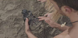 BaphometIdolOnBeach