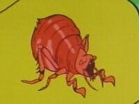 290px-TheFlea