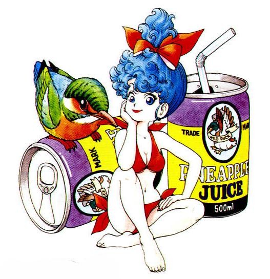 akira toriyama the world special pdf