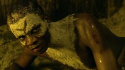Young Oenomaus