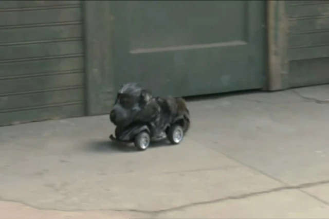640px-Scarcoon.jpg