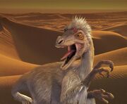 Dpraptor
