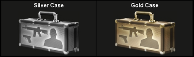 Silver and gold case