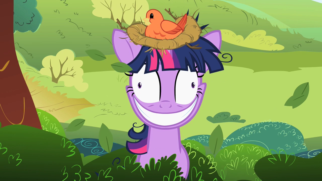 Twilight_Sparkle_with_a_bird%27s_nest_on_her_head_S2E03.png