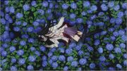 Sankarea03-011-1-